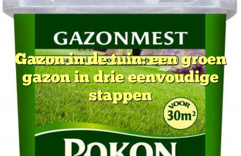 Gazon in de tuin: een groen gazon in drie eenvoudige stappen