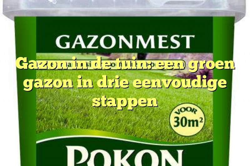 Gazon in de tuin: een groen gazon in drie eenvoudige stappen