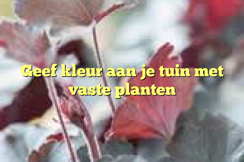 Geef kleur aan je tuin met  vaste planten