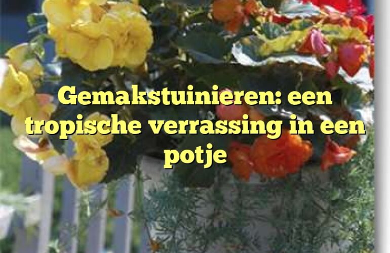 Gemakstuinieren: een tropische verrassing in een potje