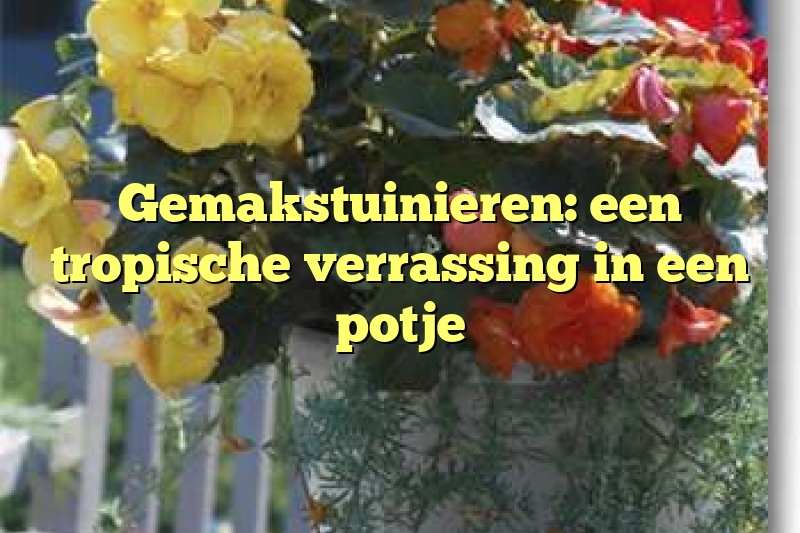 Gemakstuinieren: een tropische verrassing in een potje