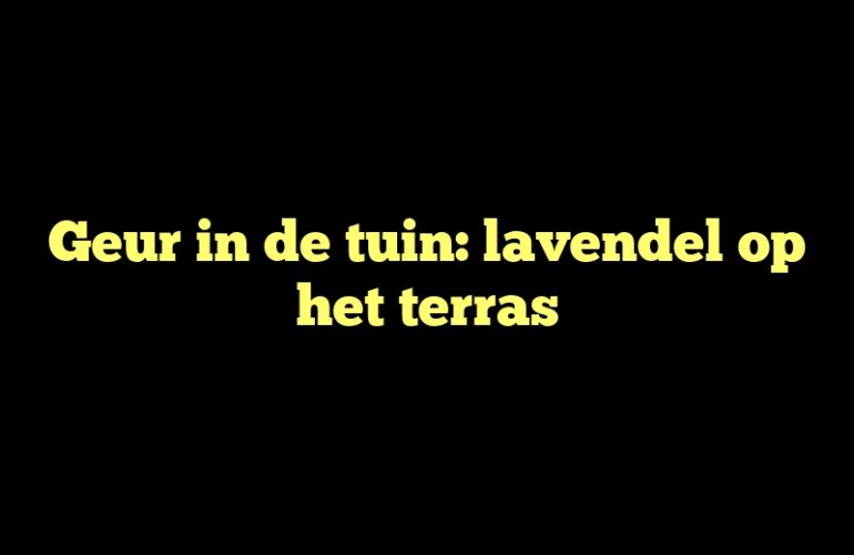 Geur in de tuin: lavendel op het terras