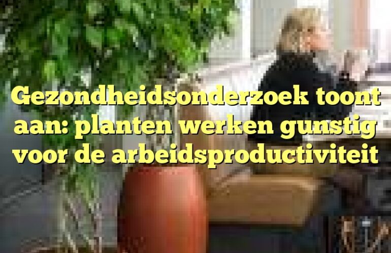 Gezondheidsonderzoek toont aan: planten werken gunstig voor de arbeidsproductiviteit