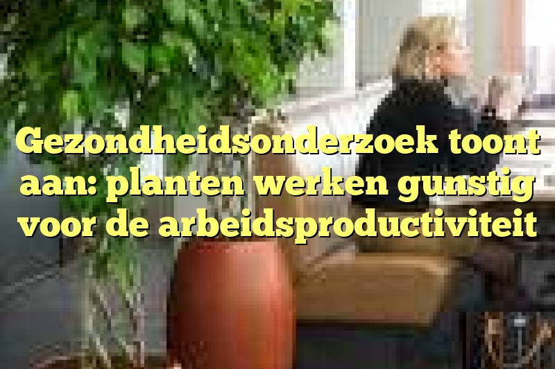 Gezondheidsonderzoek toont aan: planten werken gunstig voor de arbeidsproductiviteit