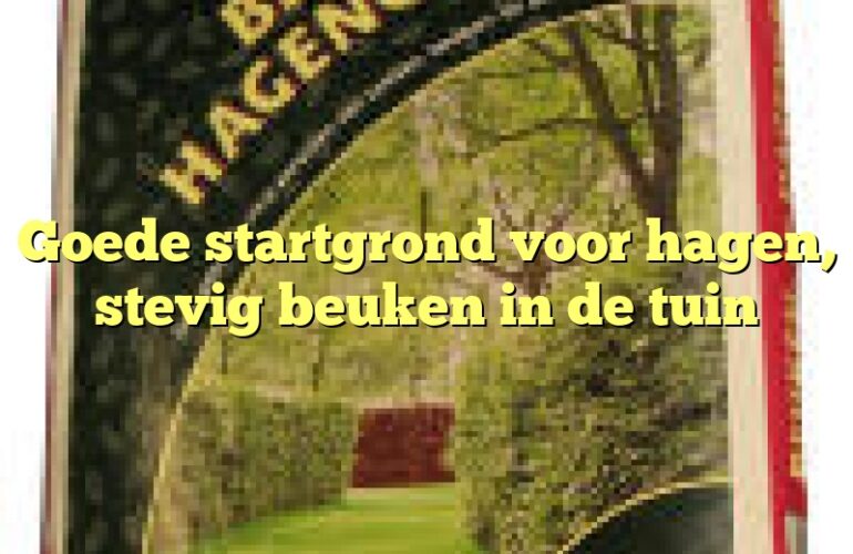 Goede startgrond voor hagen, stevig beuken in de tuin