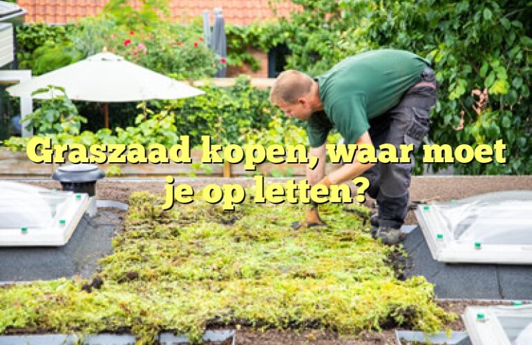 Graszaad kopen, waar moet je op letten?