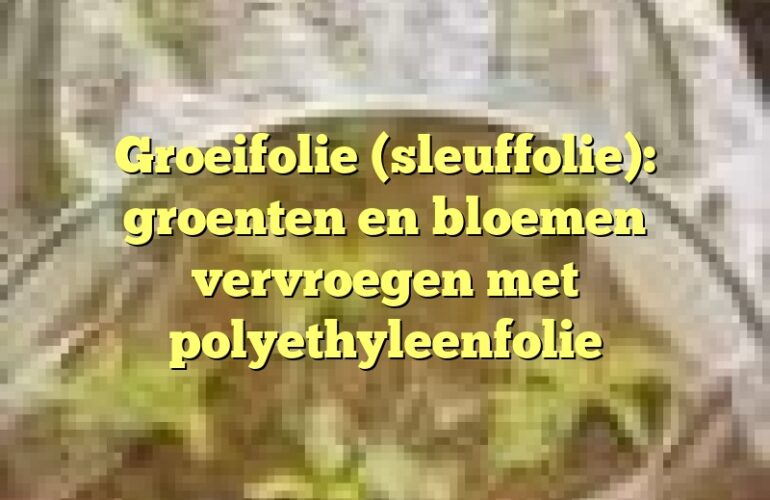 Groeifolie (sleuffolie): groenten en bloemen vervroegen met polyethyleenfolie