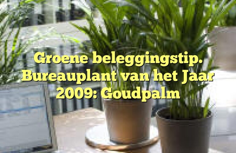 Groene beleggingstip. Bureauplant van het Jaar 2009: Goudpalm