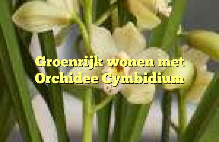 Groenrijk wonen met Orchidee Cymbidium