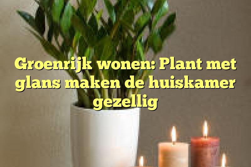 Groenrijk wonen: Plant met glans maken de huiskamer gezellig