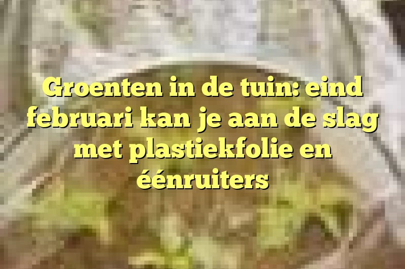 Groenten in de tuin: eind februari kan je aan de slag met plastiekfolie en éénruiters