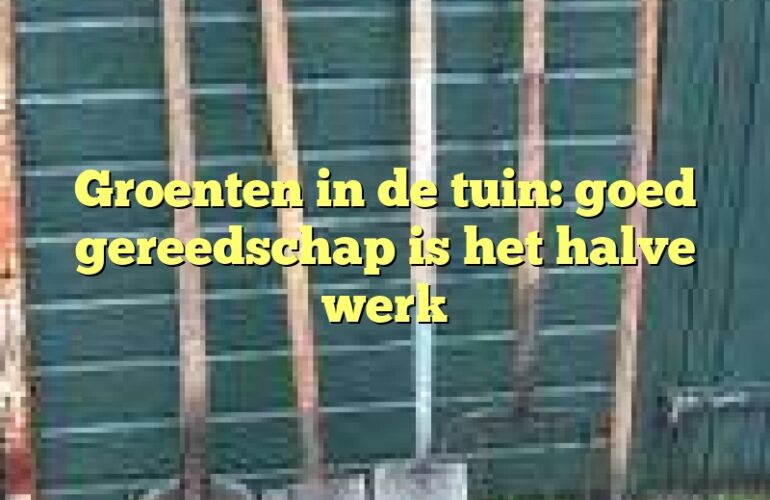 Groenten in de tuin: goed gereedschap is het halve werk