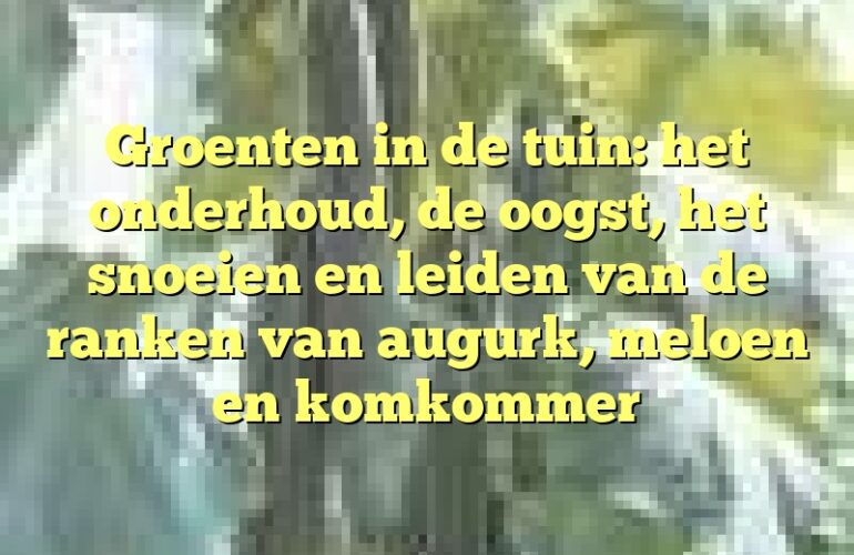 Groenten in de tuin: het onderhoud, de oogst, het snoeien en leiden van de ranken van augurk, meloen en komkommer