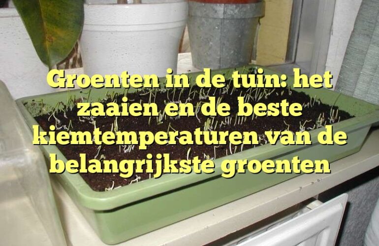 Groenten in de tuin: het zaaien en de beste kiemtemperaturen van de belangrijkste groenten