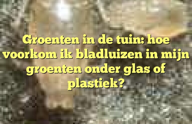 Groenten in de tuin: hoe voorkom ik bladluizen in mijn groenten onder glas of plastiek?