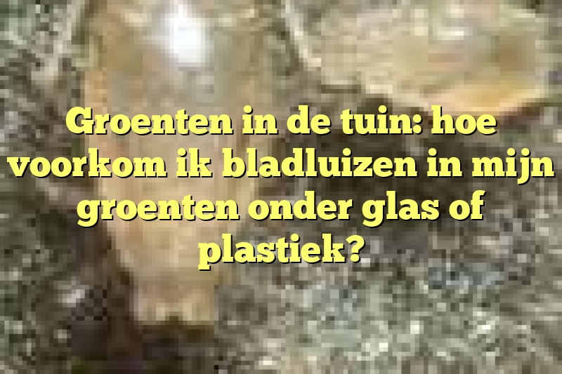 Groenten in de tuin: hoe voorkom ik bladluizen in mijn groenten onder glas of plastiek?