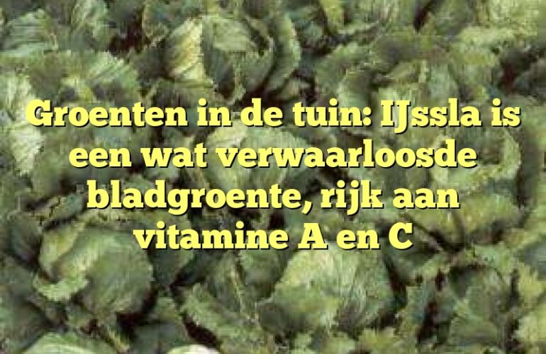 Groenten in de tuin: IJssla is een wat verwaarloosde bladgroente, rijk aan vitamine A en C