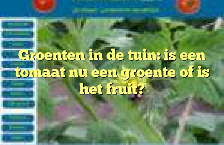 Groenten in de tuin: is een tomaat nu een groente of is het fruit?