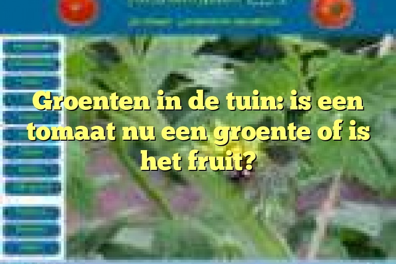 Groenten in de tuin: is een tomaat nu een groente of is het fruit?