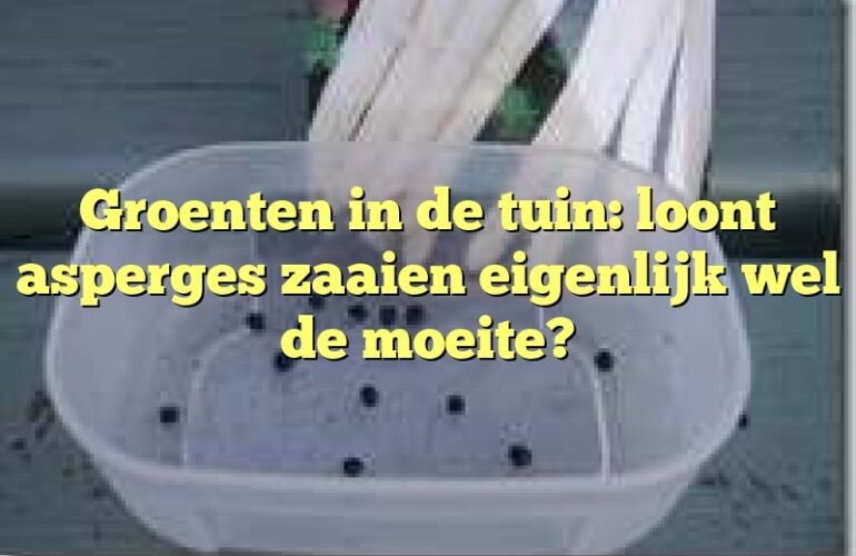 Groenten in de tuin: loont asperges zaaien eigenlijk wel de moeite?