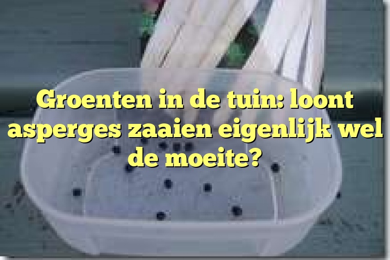 Groenten in de tuin: loont asperges zaaien eigenlijk wel de moeite?