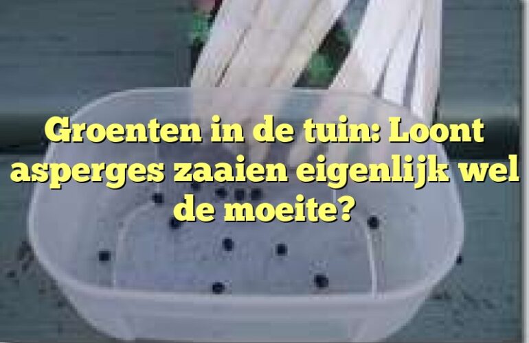 Groenten in de tuin: Loont asperges zaaien eigenlijk wel de moeite?