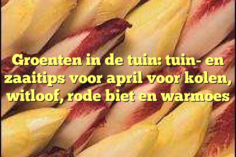 Groenten in de tuin: tuin- en zaaitips voor april voor kolen, witloof, rode biet en warmoes