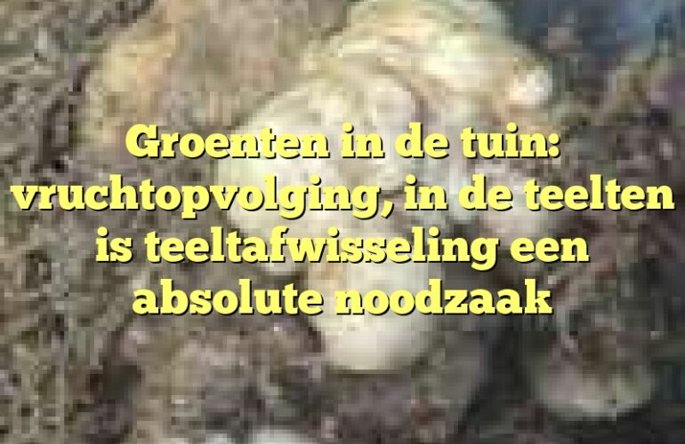 Groenten in de tuin: vruchtopvolging, in de teelten is teeltafwisseling een absolute noodzaak