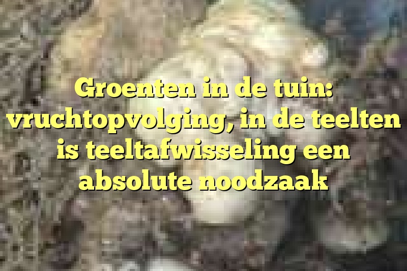 Groenten in de tuin: vruchtopvolging, in de teelten is teeltafwisseling een absolute noodzaak