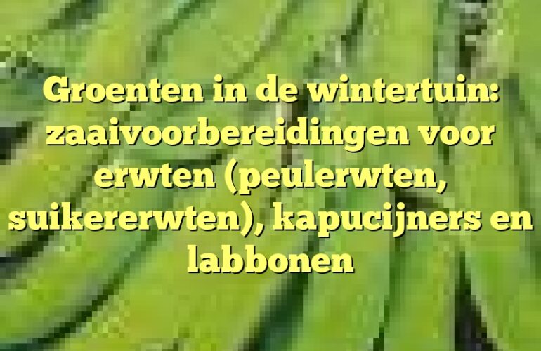 Groenten in de wintertuin: zaaivoorbereidingen voor erwten (peulerwten, suikererwten), kapucijners en labbonen