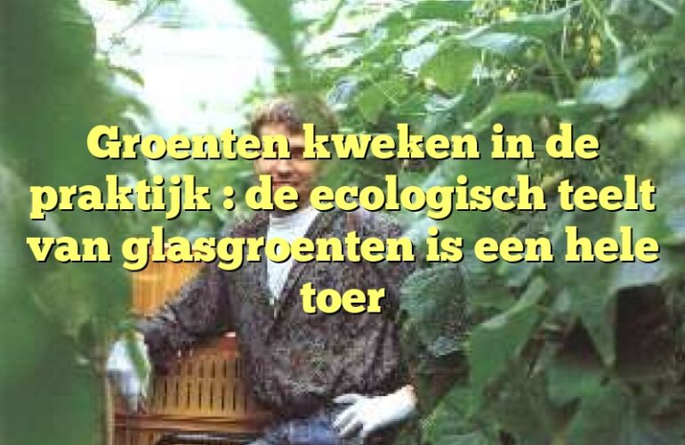 Groenten kweken in de praktijk : de ecologisch teelt van glasgroenten is een hele toer