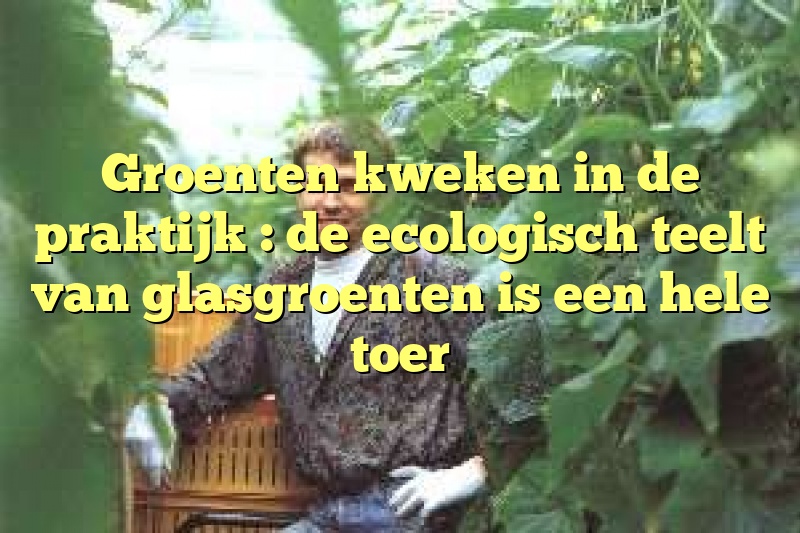 Groenten kweken in de praktijk : de ecologisch teelt van glasgroenten is een hele toer