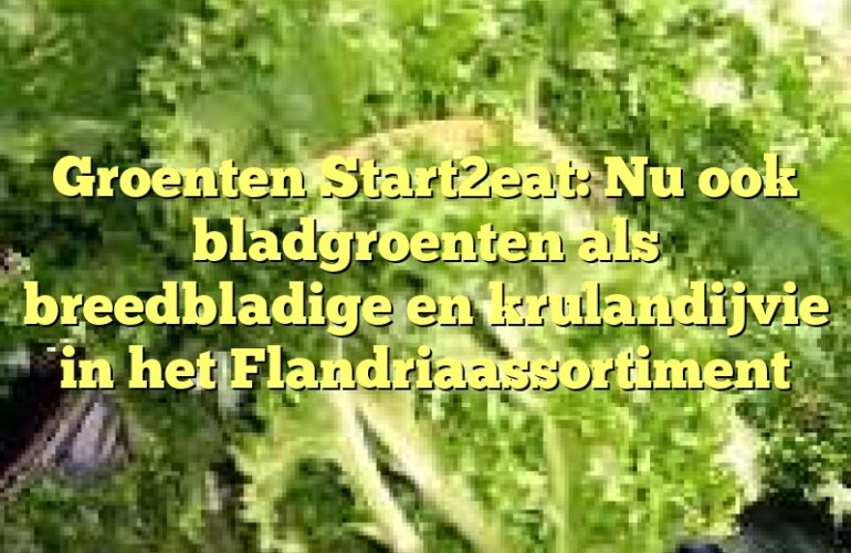 Groenten Start2eat: Nu ook bladgroenten als breedbladige en krulandijvie in het Flandriaassortiment