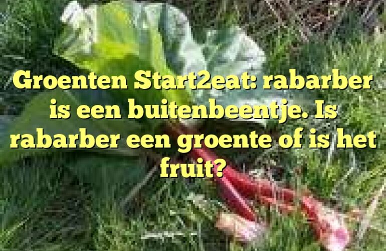 Groenten Start2eat: rabarber is een buitenbeentje. Is rabarber een groente of is het fruit?