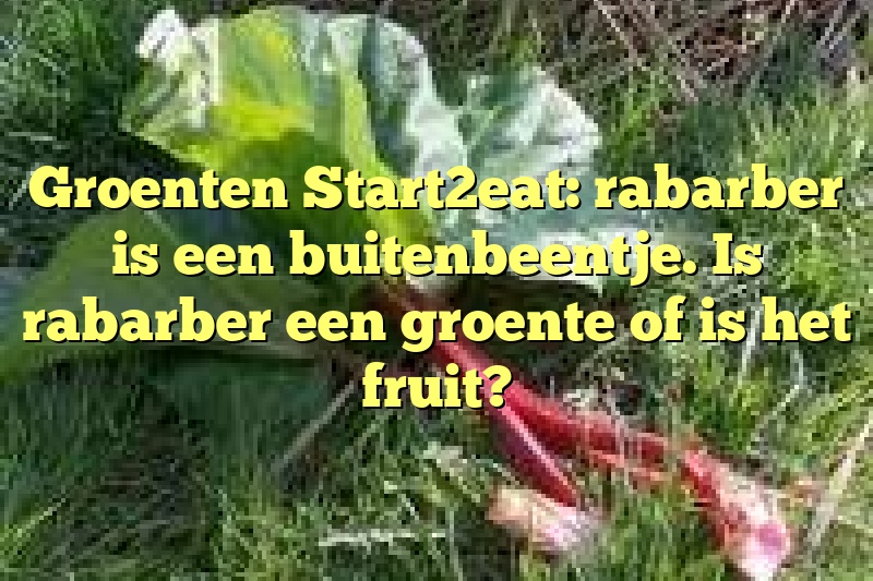 Groenten Start2eat: rabarber is een buitenbeentje. Is rabarber een groente of is het fruit?