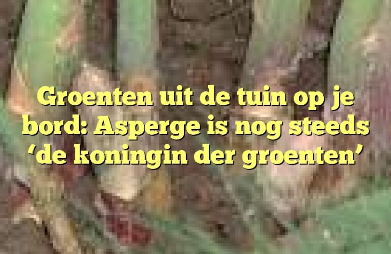 Groenten uit de tuin op je bord: Asperge is nog steeds ‘de koningin der groenten’