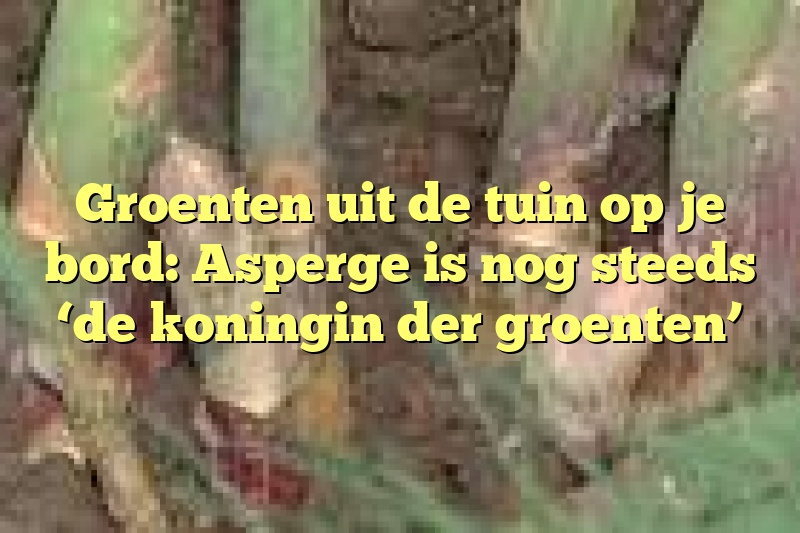 Groenten uit de tuin op je bord: Asperge is nog steeds ‘de koningin der groenten’