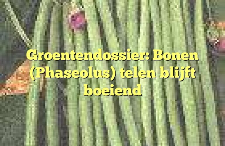 Groentendossier: Bonen (Phaseolus) telen blijft boeiend