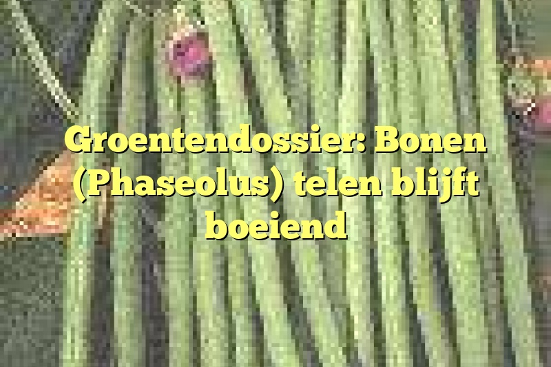 Groentendossier: Bonen (Phaseolus) telen blijft boeiend