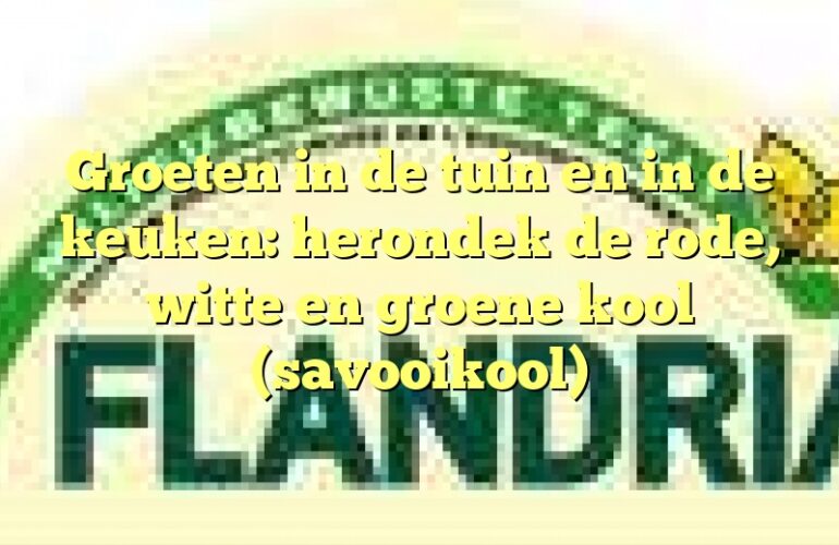 Groeten in de tuin en in de keuken: herondek de rode, witte en groene kool (savooikool)