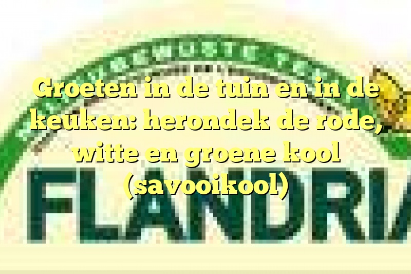 Groeten in de tuin en in de keuken: herondek de rode, witte en groene kool (savooikool)