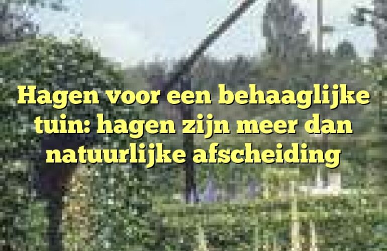 Hagen voor een behaaglijke tuin: hagen zijn meer dan natuurlijke afscheiding