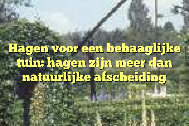 Hagen voor een behaaglijke tuin: hagen zijn meer dan natuurlijke afscheiding