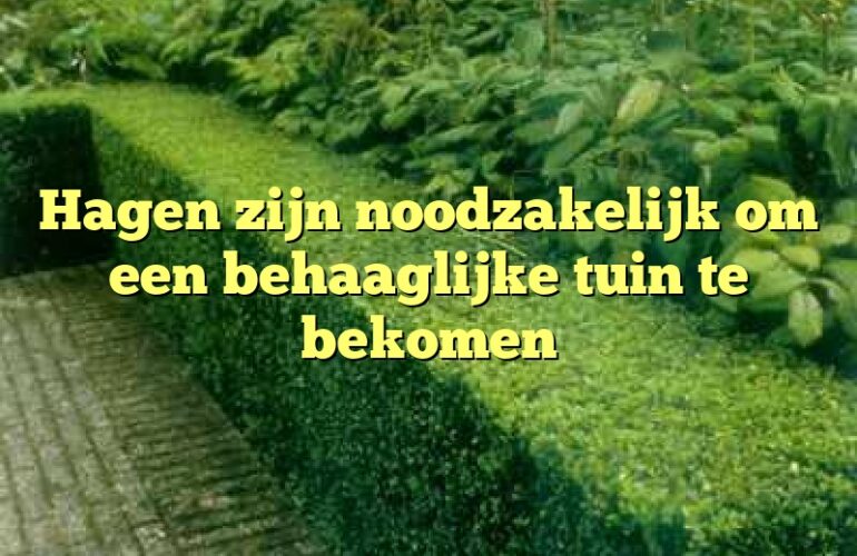 Hagen zijn noodzakelijk om een behaaglijke tuin te bekomen