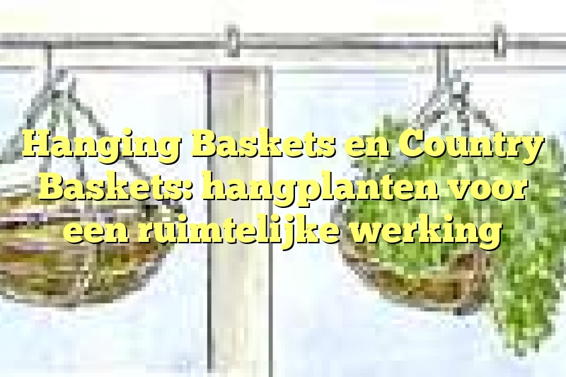 Hanging Baskets en Country Baskets: hangplanten voor een ruimtelijke werking