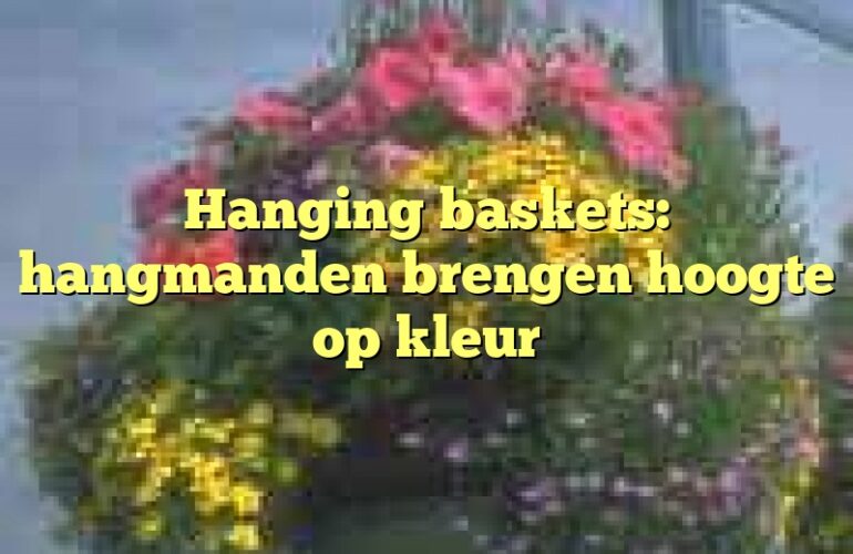 Hanging baskets: hangmanden brengen hoogte op kleur