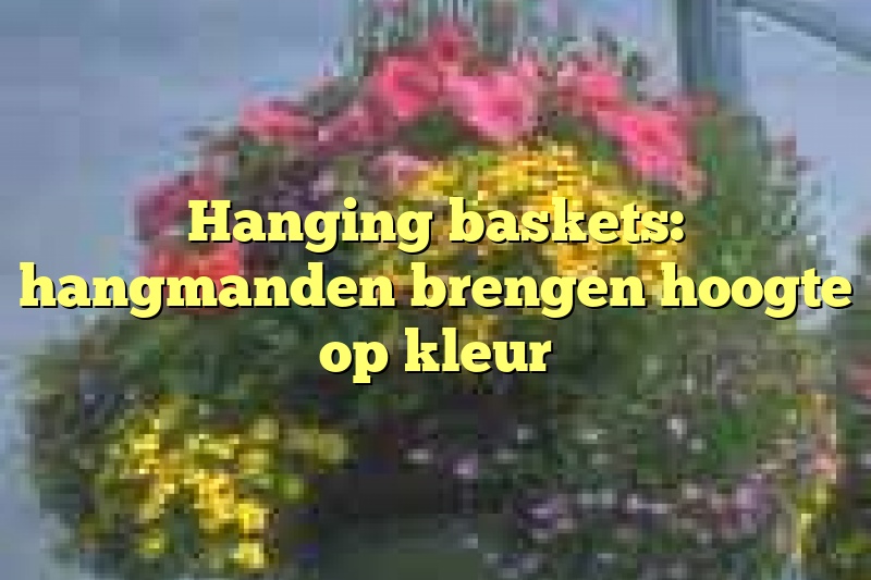 Hanging baskets: hangmanden brengen hoogte op kleur