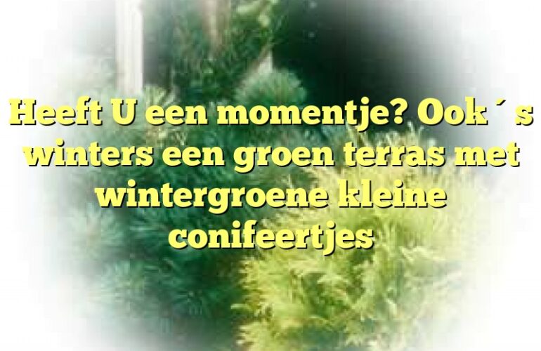 Heeft U een momentje? Ook ´s winters een groen terras met wintergroene kleine conifeertjes