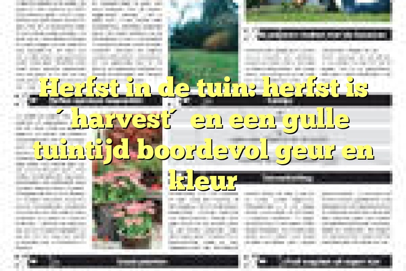 Herfst in de tuin: herfst is ´harvest´ en een gulle tuintijd boordevol geur en kleur