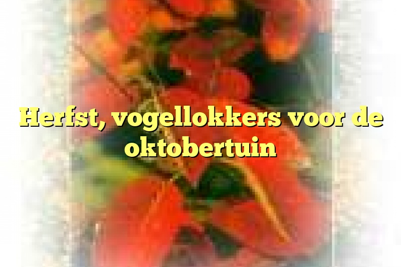 Herfst, vogellokkers voor de oktobertuin